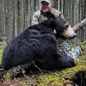 bear4