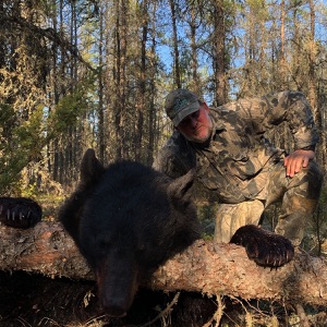 bear38