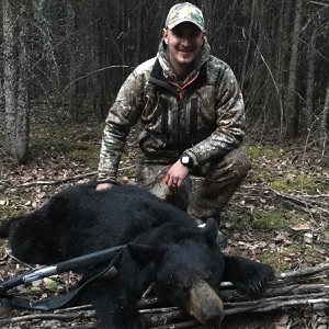 bear39