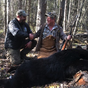 bear4
