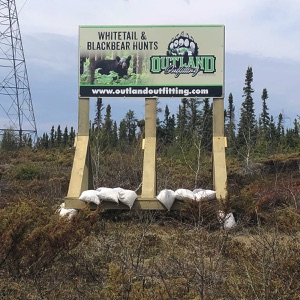 bear36