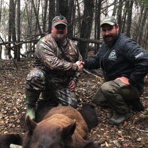 bear30