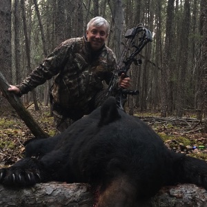 bear33