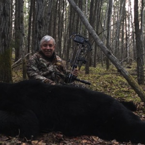 bear35